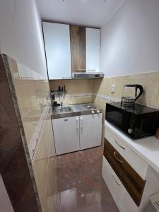 a kitchen with a sink and a microwave at Old Town Nest in Herceg-Novi
