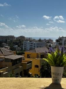 un jarrón con flores púrpuras sentado en una cornisa en Green Hill Apartment, en La Cala de Mijas 43 fotos más