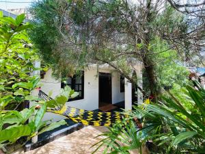 Kebun di luar Silva Hostel & Rooms