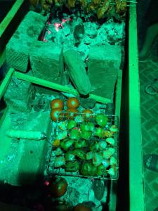 a table topped with baskets of fruit and vegetables at KODAI RiYA FRAME CASTLE in Kodaikānāl +24 photos