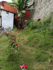 a garden with red flowers in front of a building at KODAI RiYA FRAME CASTLE in Kodaikānāl