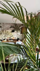 un uomo seduto a un tavolo dietro una pianta di Brasov Loft a Braşov