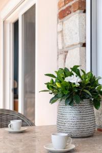 Gallery image of Silot apartment 3 in Nea Fokea