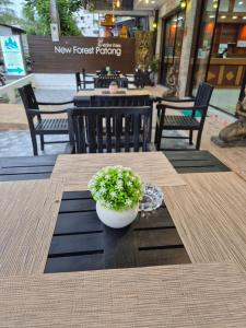 Restaurace v ubytování New Forest Patong