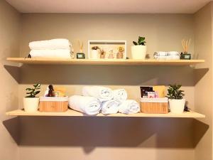 a shelf with towels and potted plants on it at Rasiņas in Cesvainieki