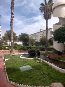 a park with a pond and palm trees and a building at LAGUNA BEACH PISCINA- HOME RENt MALAGA in Torrox Costa