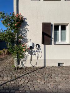 Jízda na kole v ubytování Saarlouis Innenstadt im Grünen nebo okolí