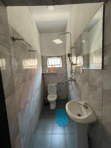 een kleine badkamer met een wastafel en een toilet bij Tivana in Kigali +25 foto's