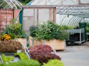 a greenhouse with plants in it in a garden at Biohof Medewege in Schwerin