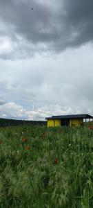 a yellow building in a field of flowers at ILLU Resort in Orhei