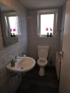 un bagno con servizi igienici e lavandino e 2 finestre di Vakantie Service Winterberg Studio Sels a Winterberg Altre 12 foto