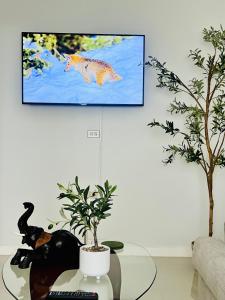 TV a/nebo společenská místnost v ubytování Olive Breeze