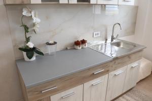 Η κουζίνα ή μικρή κουζίνα στο Panorama Hill Apartments Ulcinj