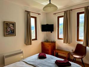 TV a/nebo společenská místnost v ubytování Alpine View Villa