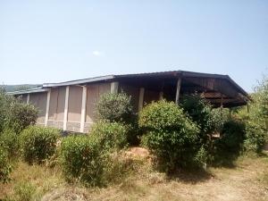 un edificio con cespugli di fronte di Miliki Maasai Mara a Maasai Mara National Reserve