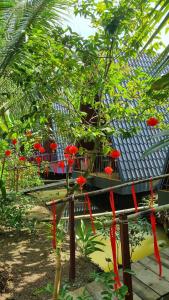 Zahrada ubytování Homestay Nam Hàm Luông