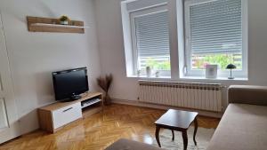 a living room with a television and two windows at Apartman Maja in Srbobran