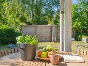 Zahrada ubytování Holiday Home Jovana - 150m to the inlet by Interhome