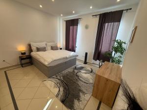 un dormitorio con una cama en una habitación en Focky City Apartments, en Viena