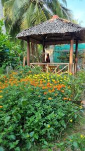 Zahrada ubytování Homestay Nam Hàm Luông