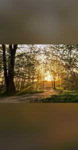 Gallery image of Dom w Skolitach in Skolity