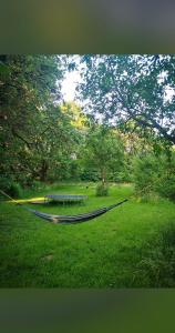 Gallery image of Dom w Skolitach in Skolity +11 photos