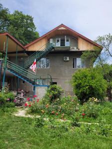 Zahrada ubytování Dream House