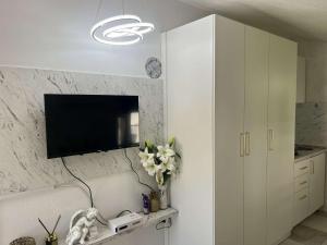 Savić Apartments tesisinde bir televizyon ve/veya eğlence merkezi