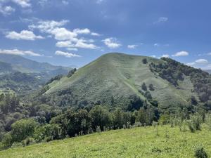 a green hill with trees on top of a field at Parcel Tiny House Bele Ame au coeur des Pyrénées in Germ +6 photos