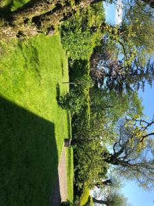 an overhead view of a green field with trees at große Ferienwohnung Inselhuus in Nordstrand