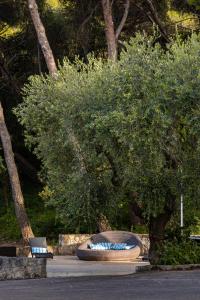 a park with two chairs and a tree at AH Premium Baia dei Faraglioni in Mattinata