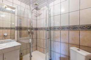 a bathroom with a shower and a toilet and a sink at Chambre Millepertuis in Auriac-du-Périgord