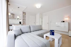 Kuchnia lub aneks kuchenny w obiekcie Promenada by Baltic Home