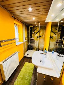 un bagno con lavandino e specchio di Sonnenblume - Sonne 2 rechts a Zingst