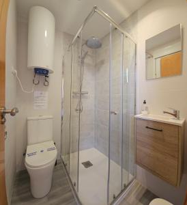 A bathroom at Homes of Spain, Apartamentos Paraíso, Ed Tahiti, Atico A a pie de Playa, piscina privada en solárium, WI-FI