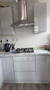 Kuchyň nebo kuchyňský kout v ubytování Studio Apartment