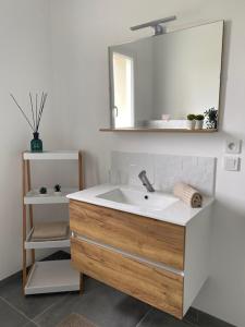 un bagno con lavandino e specchio di Appartement avec terrasse, proche des 1000 étangs, chapelle Le Corbusier a Roye Altre 28 foto