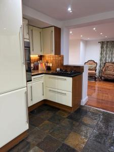 Η κουζίνα ή μικρή κουζίνα στο Luxury semidetached house