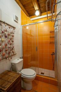 a bathroom with a toilet and a glass shower at Forest stone Villa with pool in Kriopigi +37 photos