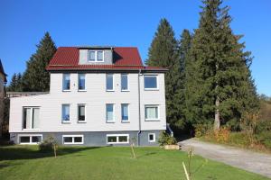 een groot wit huis met een rood dak bij Apartment Hollerbusch in Goslar