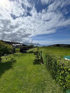 a vineyard with a fence and a field of grass at O Cabaleiro in Santa Marta de Ortigueira