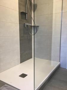 a shower with a glass door in a bathroom at Zur Henne in Weinbach