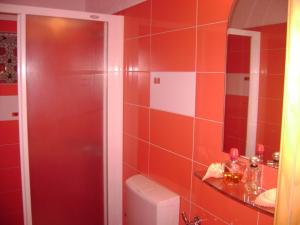 a red bathroom with a toilet and a mirror at Apartment ANDRIUCI in Cavtat
