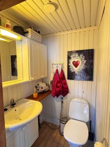 a bathroom with a white toilet and a sink at Villa Lempeänranta in Pello +32 photos
