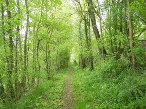 Paesaggio naturale nelle vicinanze del bed & breakfast