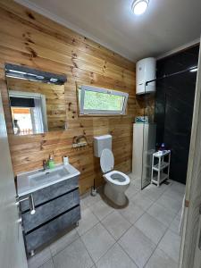 un bagno con un water, un lavandino e una finestra di River house Una a Kravlja Altre 5 foto