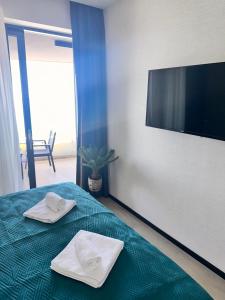 TV a/nebo společenská místnost v ubytování Green Stone Apartments