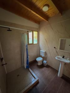 ein Badezimmer mit Toilette und Waschbecken in der Unterkunft Hostel Bucalemu in San Martín de los Andes