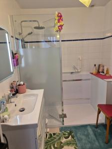 a bathroom with a sink and a shower at Chez Ninie in Le Cloître-Saint-Thégonnec