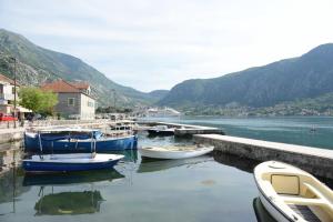 un grupo de barcos están atracados en un puerto en Bjelica Apartments Kotor, en Kotor